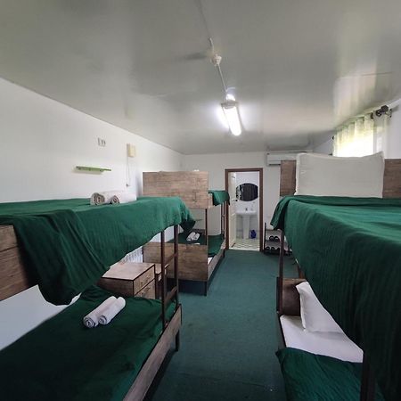 Green House Hotel & Hostel ブハラ エクステリア 写真