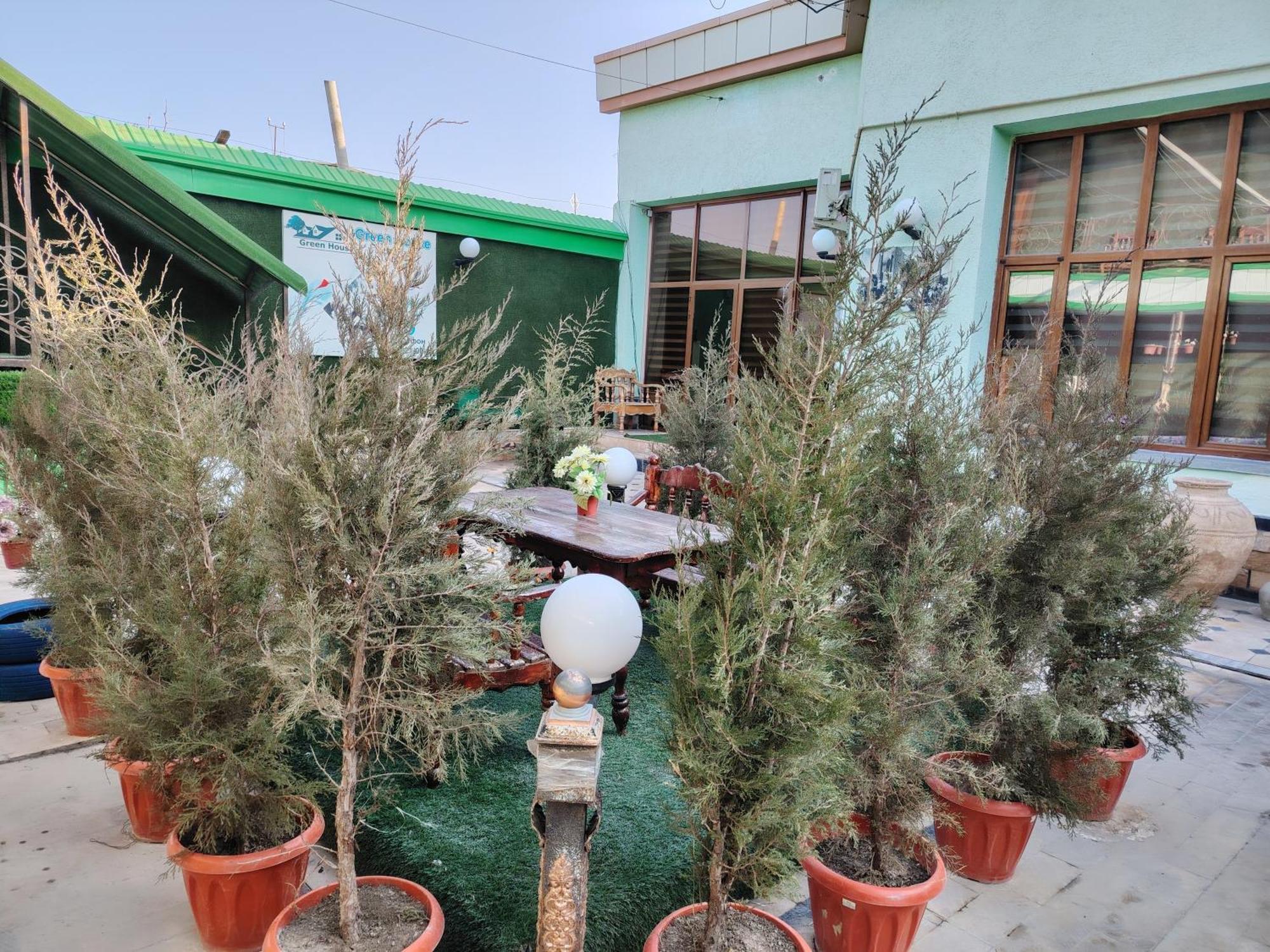 Green House Hotel & Hostel ブハラ エクステリア 写真